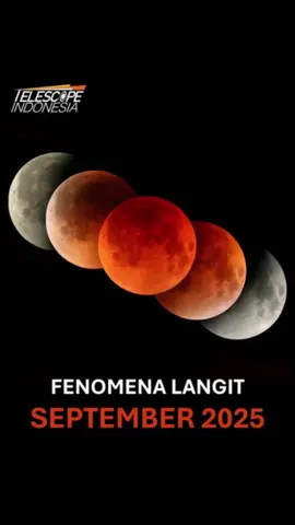 Fenomena langit bulan September? Kalender Fenomena Langit bulan September 2025 telah hadir! Dari Gerhana Bulan Total hingga Super konjungsi, bulan September penuh dengan keajaiban langit. Geser ke kanan untuk melihat daftar lengkapnya, dan jangan lupa pasang pengingat agar tidak ketinggalan momen spesial ini! Sebagian besar fenomena langit di bulan September dapat dilihat dengan mata telanjang, namun kami sangat menyarankan untuk menggunakan teleskop berkualitas seperti Celestron AstroMaster 70AZ, Celestron StarSense Explorer LT 80AZ, dan StarSense Explorer LT 5AZ. Dengan begitu, Anda dapat menikmati pemandangan planet dan bulan dengan detail yang jelas dan bagus. #fenomenalangka #september #Astronomy #tiktokviral #fyp 