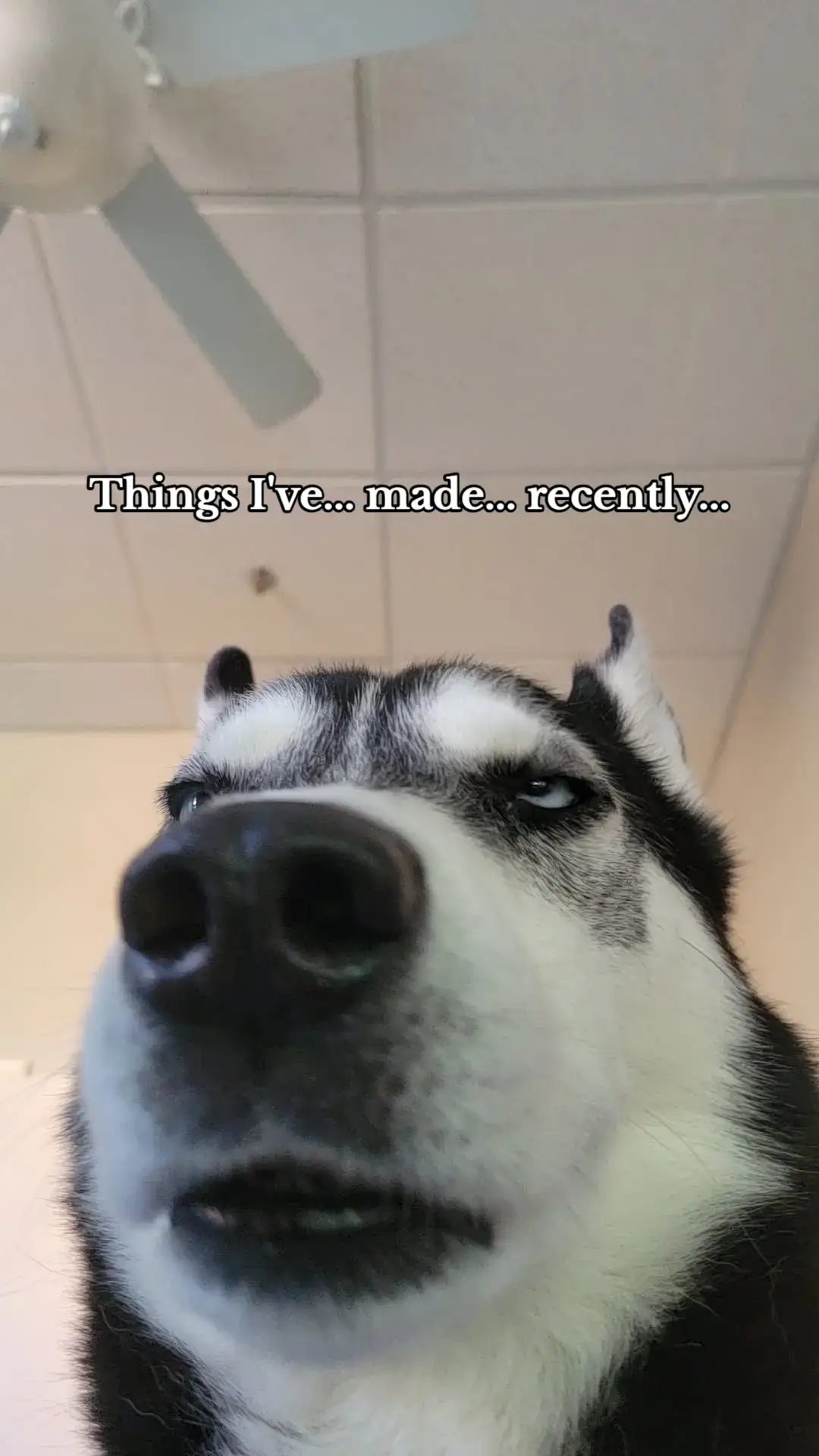 by recently. I may or may not mean my fav meals throughout this past year I remembered to take pictures of. Making people food is my love language frfr. #food #cooking #homemeals #meals #Foodie 