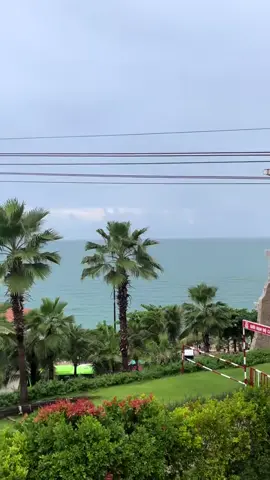 #xuhuongtiktok 