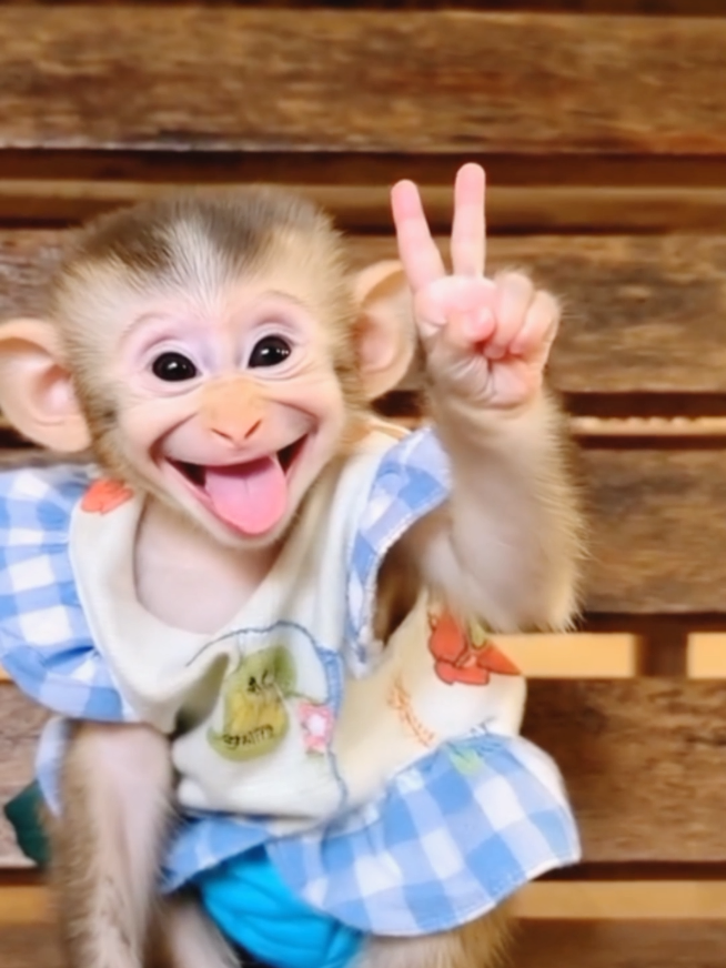 funny video 😂🙈 #funny #jokes #moments #foryoupage #fullsuppprtmyaccount 