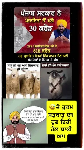 #fyp #punjab #USA #Canada #tiktok 