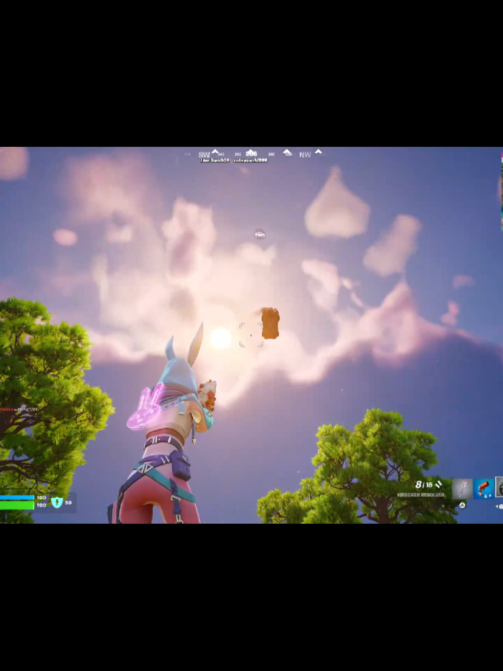 my first delulu match @cobraswrld999 #delulu #fornite #fort #battleroyale 