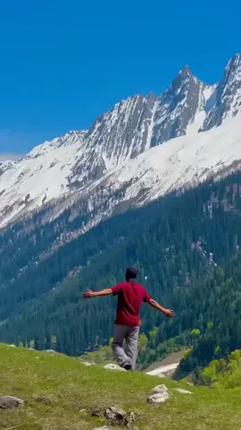Echoes of Nature, Switzerland🇨🇭 #vacation #hillvibes #swissalps #nature #fyp 