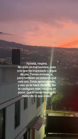 Un paso a la vez mi bro.. #paratii #fyp #pazmental #frases 