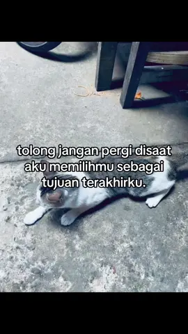 jangan pergiiii🤧🤍#masukberanda #sad #katakata #foryoupage #fyp 