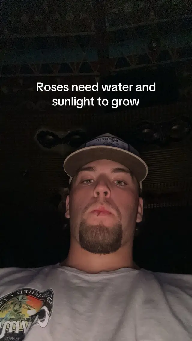 #fyp #viral #trending 