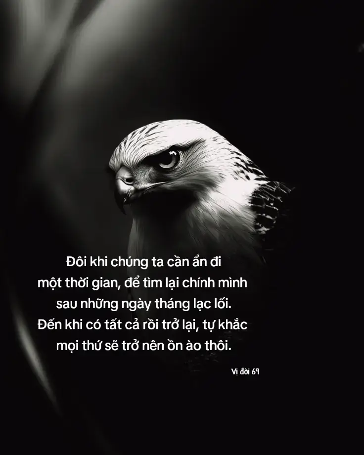 Đôi khi chúng ta cần ẩn đi một thời gian,  để tìm lại chính mình sau những ngày tháng lạc lối. Đến khi có tất cả rồi trở lại, tự khắc mọi thứ  sẽ trở nên ồn ào thôi. #vidoi69 #caption #xuhuong 