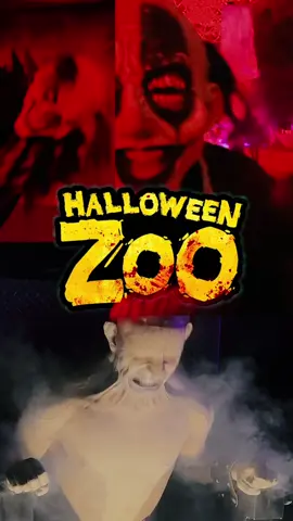 En la oscuridad nadie puede oírte, sólo NOSOTROS. 👹😈 ¡Bienvenid@s a la MEJOR EDICIÓN de Halloween Zoo jamás hecha!  ¿Vas a venir o te da miedo? #halloween #fyp #foryou #terror #leongto  