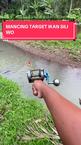Target ikan sili wo !! #fishing #kontenmancing #mancing 