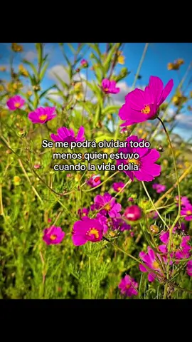 #parati ❤️‍🩹💗🙏🏻