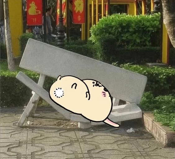 em chào sếp ạ🫡 #Usagi#nghebaove#hachii#xuhuong#viral  