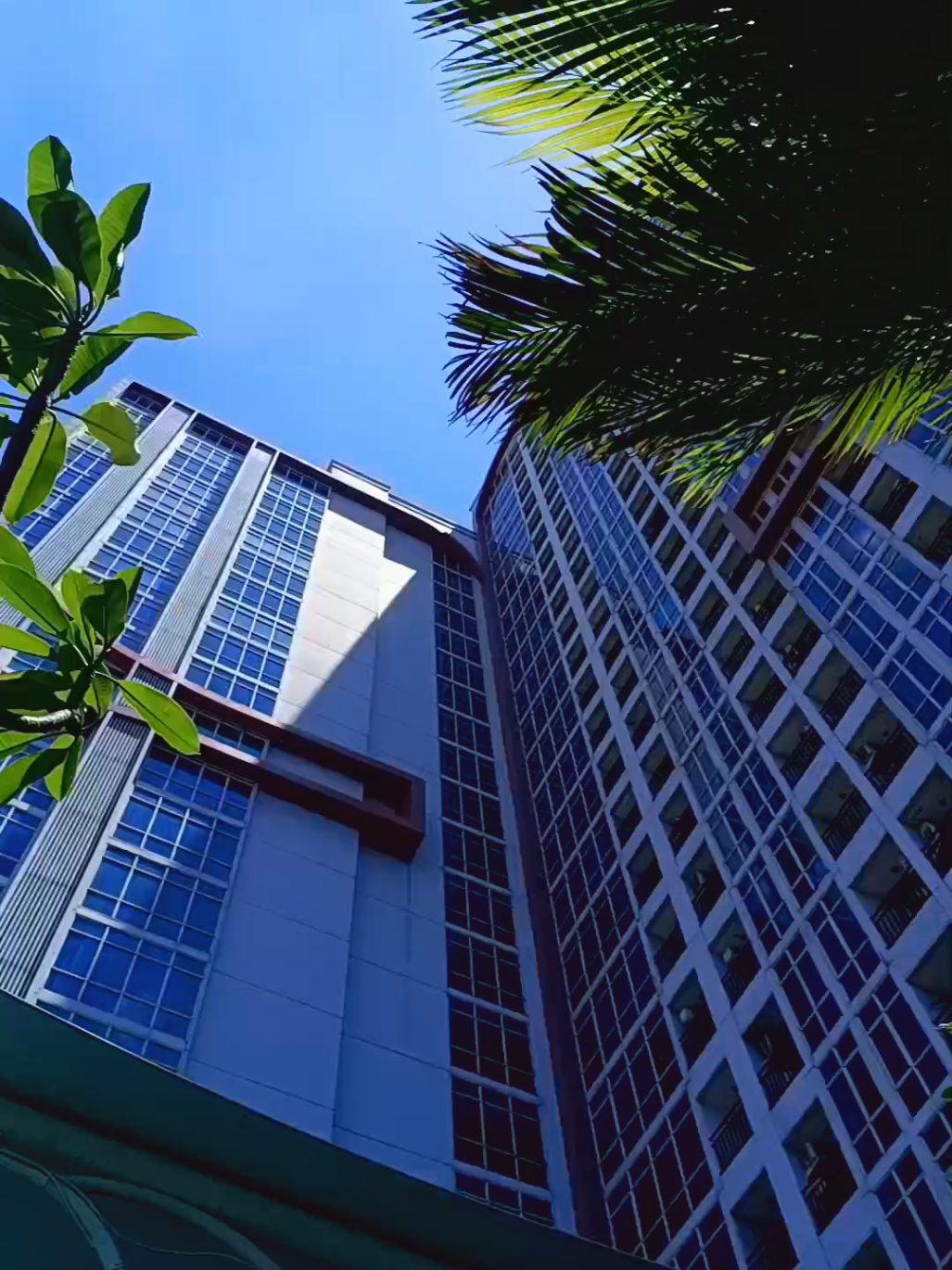 Berenang di best Western Papilio surabaya. 