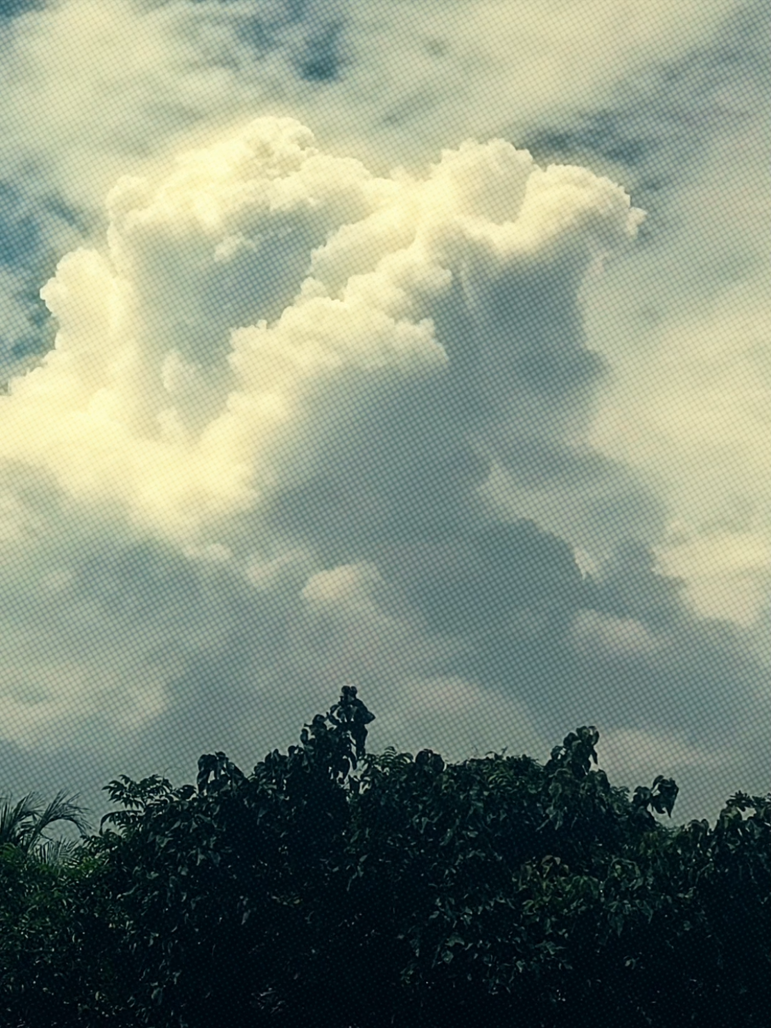 তোমার ছবি দেখি আর ভাবি, এতো মানুষ থাকতে একজনের প্রতিই কেনো এতো মায়া..😅❤️‍🩹 #fypppppppppppppppppppp #fyp #viral #funnyvideo #Foryou 