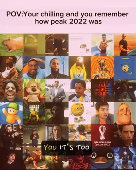 Best year of my life ❤️‍🩹 #2022 #nostalgia #badhabitstevelacy #Viral #fyp 