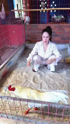 Tới giờ ăn, đói bụng.. Mệt mà bà già bắt quay video quài hhhh phải có làm mới có ăn #traiga #quangnhi 
