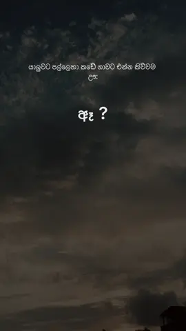 ඈ 😂🤌 #foryou #foryoupage #1millionaudition #10millionadoptions #fyppppppppppppppppppppppp 