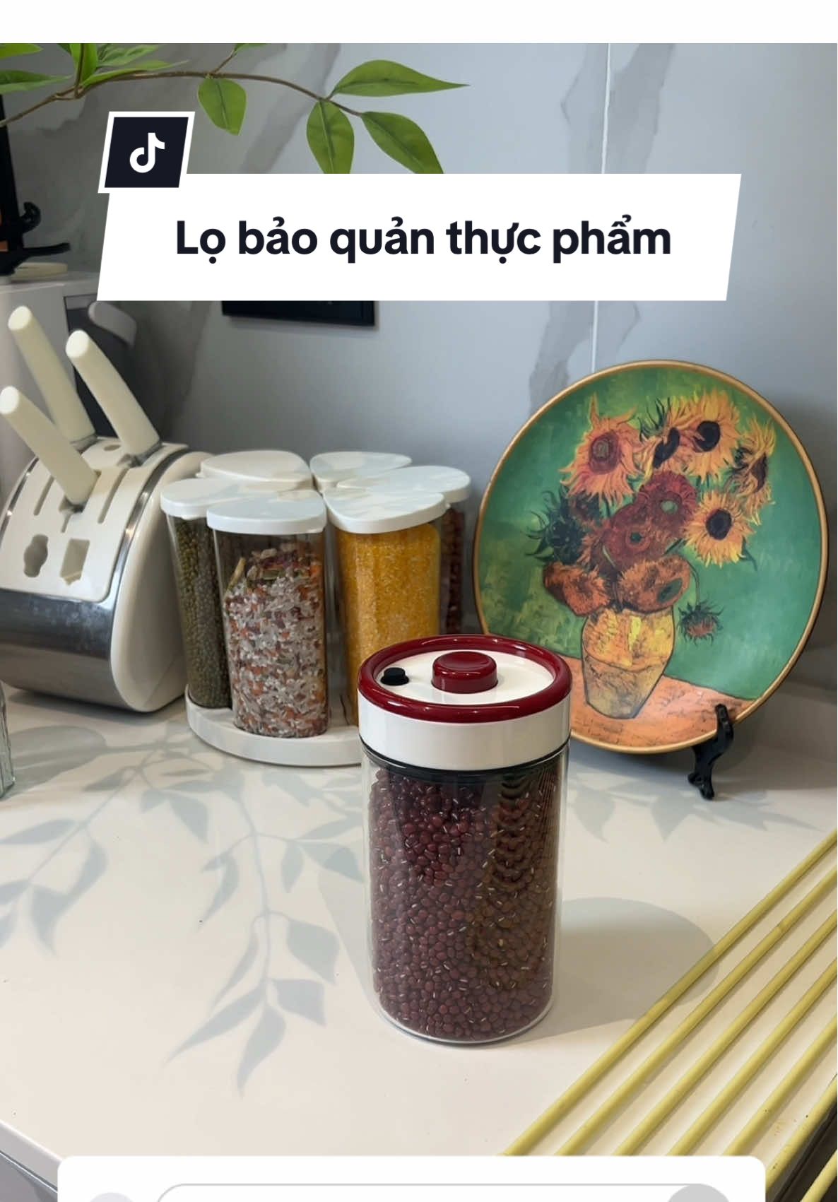Lọ bảo quản thực phẩm hút chân không  #lodunggiavi #hopdungthucpham #meovatcuocsong #decorsiuxinh 