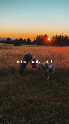I’ve been asked “Why are you so dedicated to your yoga practice?” Simple answer: it’s for my mind, my body, and my soul. 💖 #yoga #yogaflow #yogi #hathayoga #mindbodysoul 