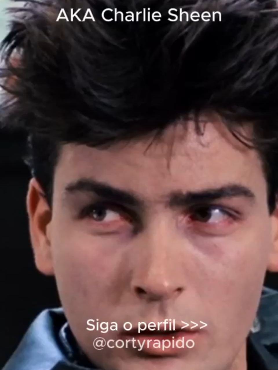 AKA Charlie Sheen parte 7 - Não esqueça de seguir o perfil!!  #akacharliesheen #charliesheen #charlieharper #twoandahalfman #netflix #documentario #seriesnetflix #twoandahalfmen #doishomensemeio