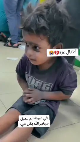 #تبرعات #حملت #فلسطين #اوربا #تركيا 