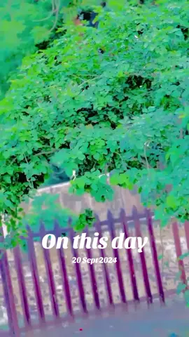 #onthisday