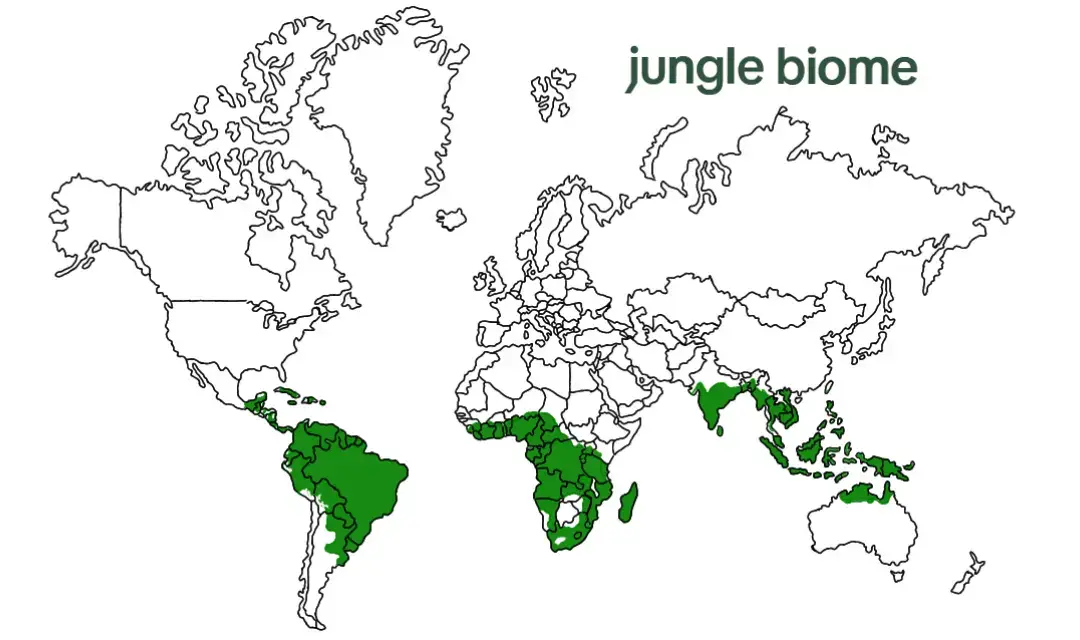 🏜️🏔️🌲🌸🏞️ #westsumatramap #map #geography #biome 