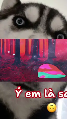 Doey the doughman vs Dolly the Doughgirl #dollythedoughgirl  #doeythedoughman 