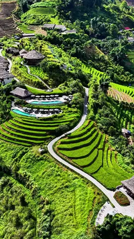 Núi rừng tây bắc🇻🇳🇻🇳🇻🇳 #cuộcsốngđammê❤️❤️❤️ 