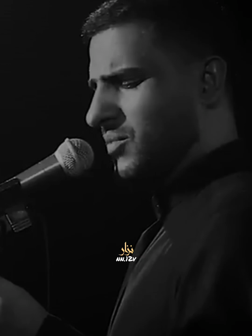 المضيع أهله يزور الحسين ||هشام الغراوي  #المصممnizar #هشام_الغراوي  @هشام الغراوي 
