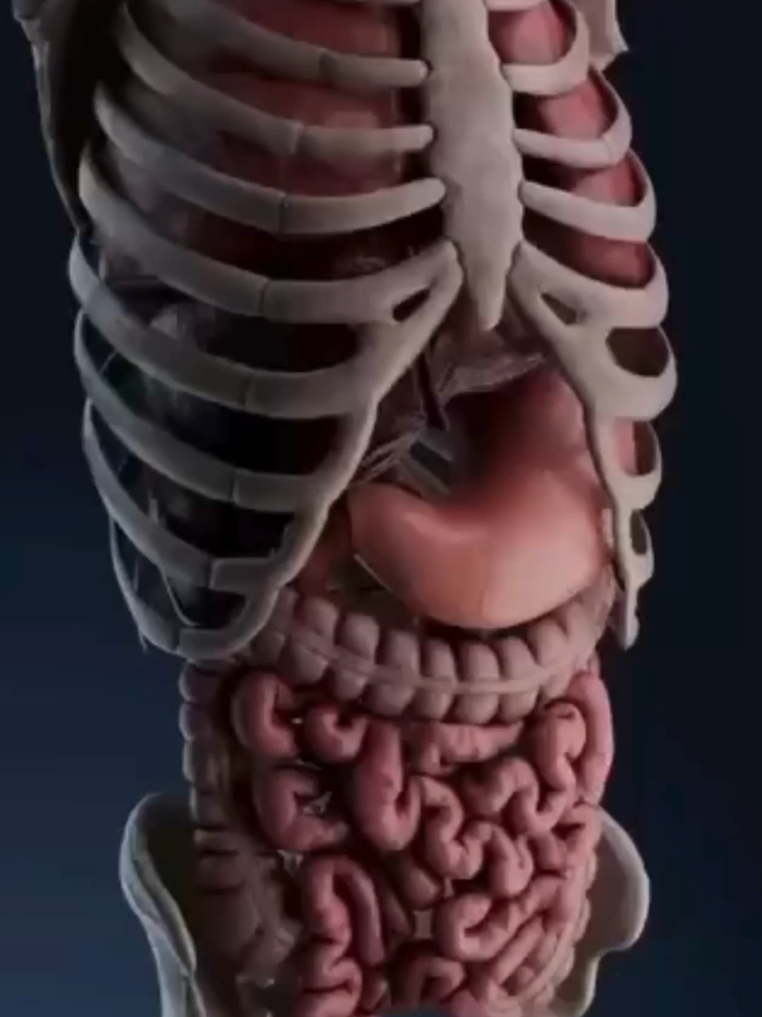 5 alimentos enemigos de los diabeticos #salud #diabetes #diabetestipo2 #fruit #vida