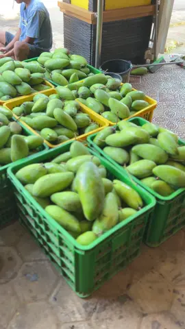 #promoseruweekend #alpukatmuria #manggathailand #manggaharummanis #pamelo #jambucitrakudus #rambutanrafia #buahmatoa #suplayerbuahlokal #buahlokalkudus #kuduspride 