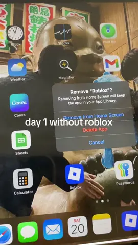 👋🏻 dadah roblos 