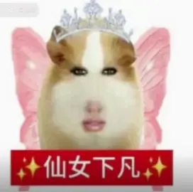 #豬妞 #仙女下凡 