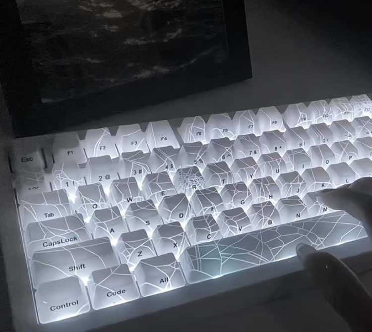 ハイエンドキーボード、存在感炸裂！🕸️🕷️☠️🤩#keyboard #zornher #fyp #typ #zh870 