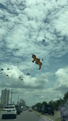 Kalau jumpa beso ni, tak cukup tanah aku lari 🥲 #bikf #bintuluinternationalkitefestival2025 #cicak 