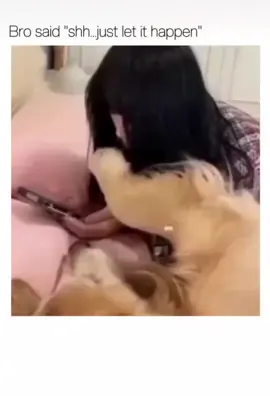 #paratii #humor #paratiiiiiiiiiiiiiiiiiiiiiiiiiiiiiii #comedia #dog 