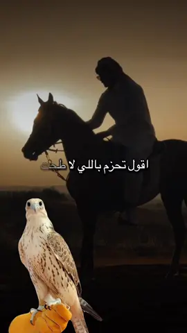 #أكسبلور_شعر_حكم_خواطر 