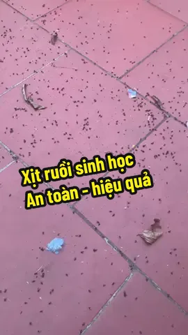 Xịt ruồi sinh học, xịt 1 lần quét liên tục rất hiệu quả  @Mẹ Tôm revew #dietruoi #xitruoisinhhoc 