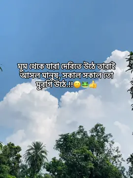 Heaa bhaii🙂🐸#foryou #unfrezzmyaccount #fyyyyppppppp #tiktokviral 