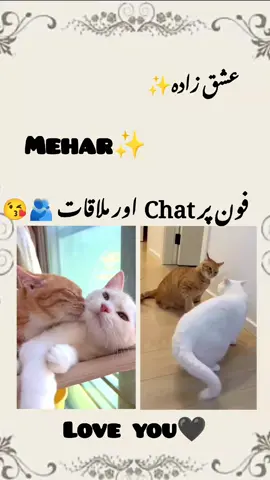 💞✨#dilkibaat❤️ #couplegoals #unfreezemyacount #foryou 