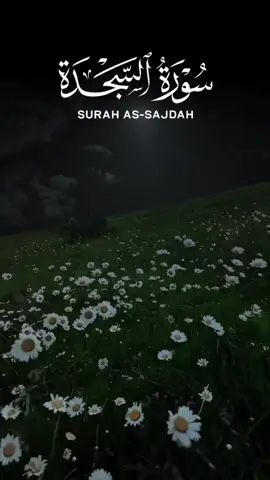 #creatorsearchinsights #islamicreminder #islamic_video #islamicquotes #fyp 