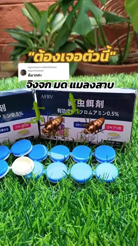 ตอบกลับ @naparkawae จัดโปรอยู่รีบกดเลยค่ะ#เหยื่อกําจัดมด #กําจัดจิ้งจก #กําจัดแมลงสาบ #กําจัดมด #วิธีกําจัดมด 