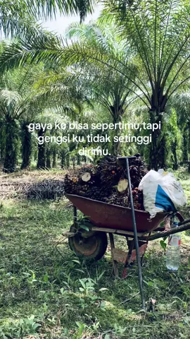 Apa ituu🫢 #kebunsawit #pewarismuda  #masukberandamuu 