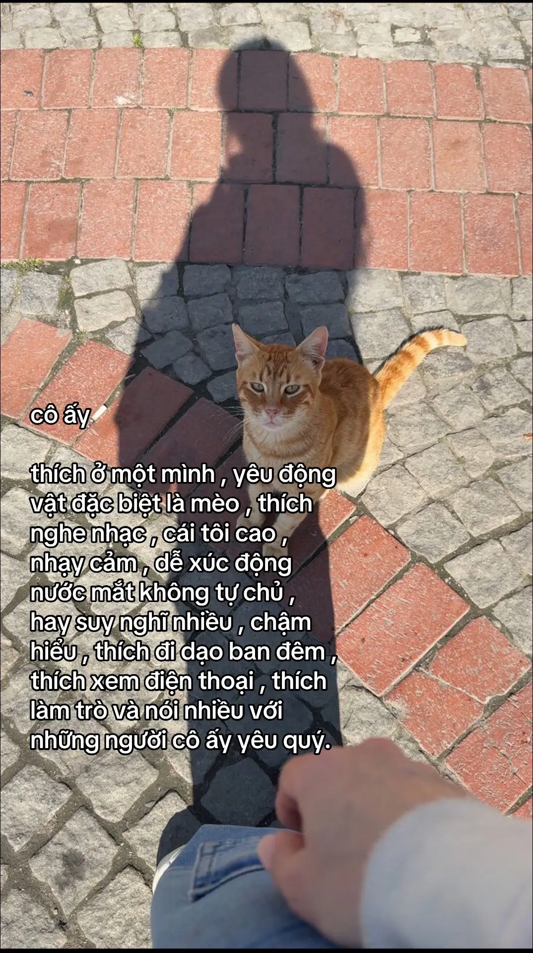 #xh #viral #fyp #Love #trending                                                       T