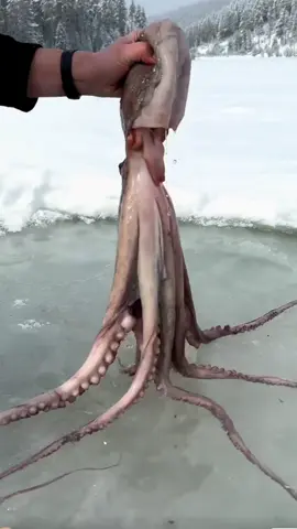 Lệ quỷ báo thù #audio #nauan #food #kechuyen #xh 