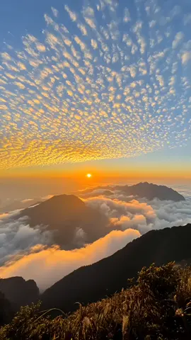 #gunungindonesia #pendakigunung #mountainview #fyp 