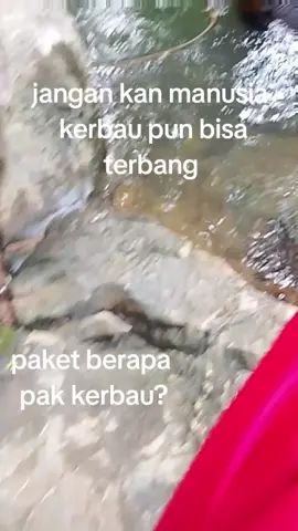 #efekgaramcina #fyppppppppppppppppppppppp#garamcina #fyppppfiralllllllllllllllllllll 