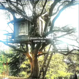 A beautiful dream that never came true #dreams #beauty #treehouse #childrendream #fyppppppppppppppppppppppp '' created goes to real owner