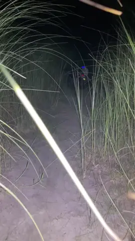 Mikat malm burung ruak ruak 20 ekor#mikatburung #malamminggu #burung 