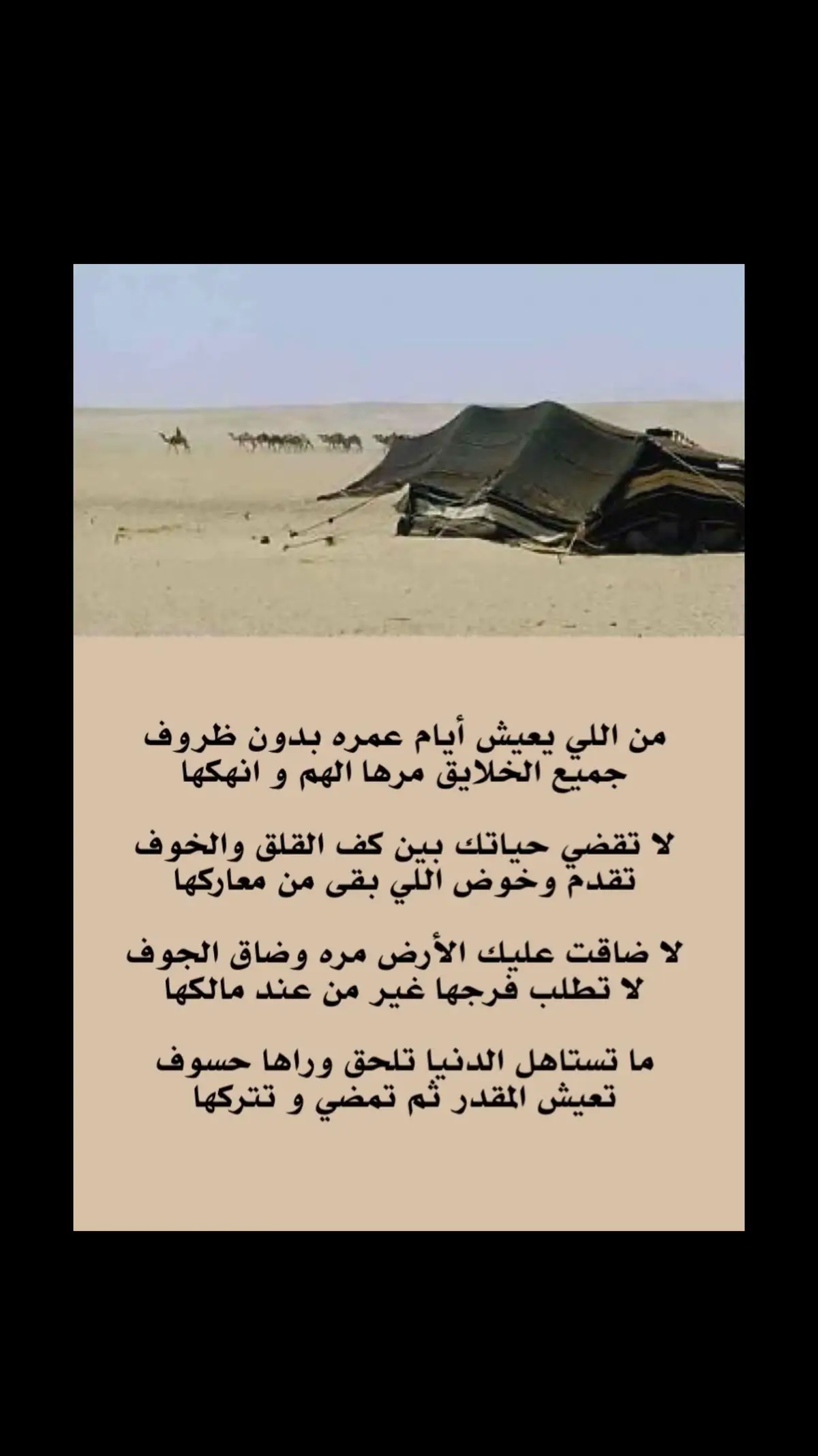 #قصيده #ابيات_وقصيد #شعراء_وذواقين_الشعر_الشعبي🎸 